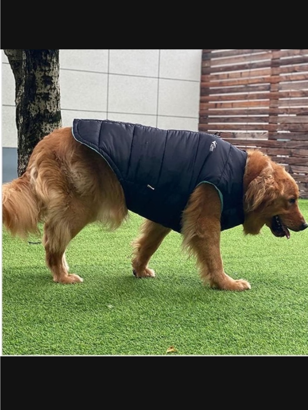 SALE!! Size XL NEW Waterproof zip dog coat. Medium large dogs.